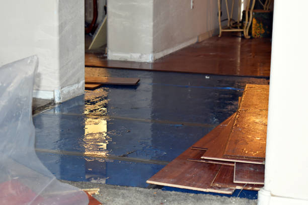 Professional Flood Damage Repair technician working in Sargent, TX